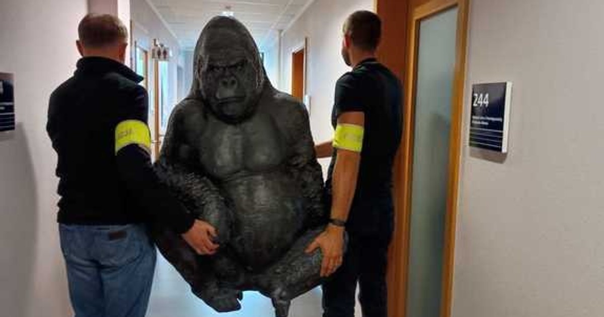 Goryl z restauracji odnaleziony. Policja z Płocka namierzyła złodzieja