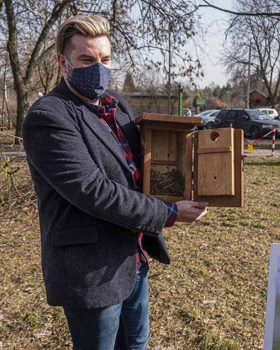 Łódź zaprasza ptaki. W całym mieście powieszą 600 budek lęgowych