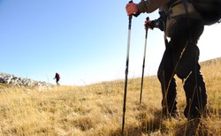 Przeszczep ratuje życie. Celebryci maszerowali, by wesprzeć ideę transplantacji