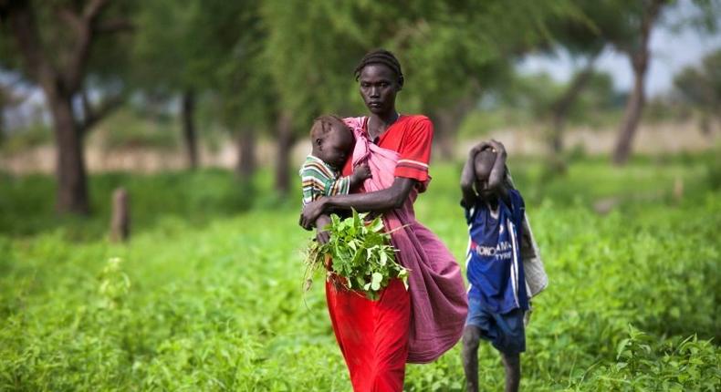 More than 3.5 million people have been forced to flee their homes in South Sudan where tens of thousands have been killed in a civil war since independence six years ago