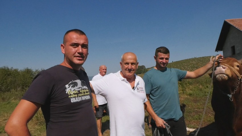 Jedinstvena volovska korida na Manjači