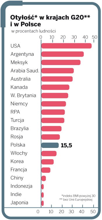 Otyłość w krajach G20 i w Polsce