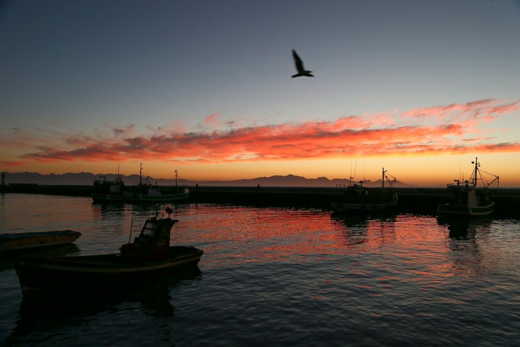 Początek zimy w Afryce