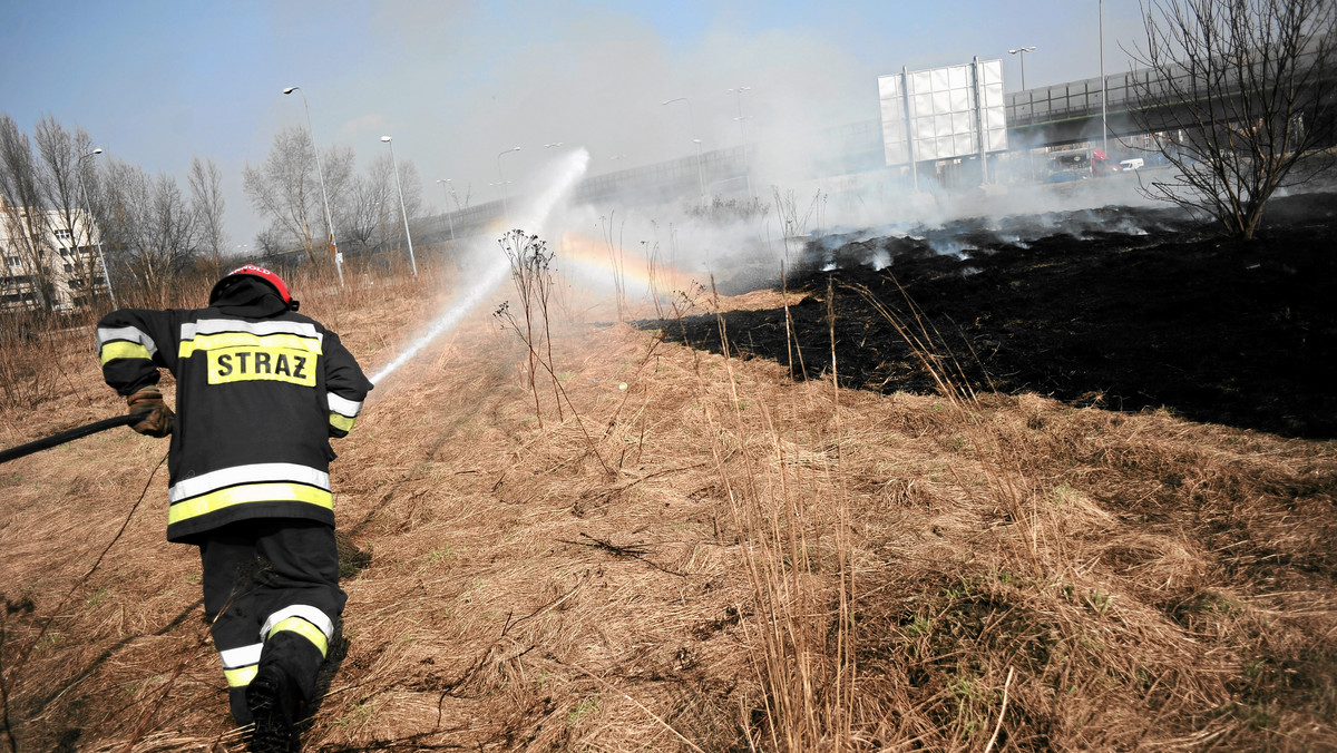 W podgorzowskim lesie w okolicy Czechowa strażacy walczą z pożarem. Pali się składowisko kabli - informuje "Gazeta Lubuska".
