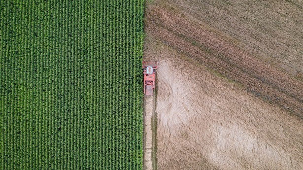 Rosja próbuje sprzedać za granicą zboże skradzione w Ukrainie