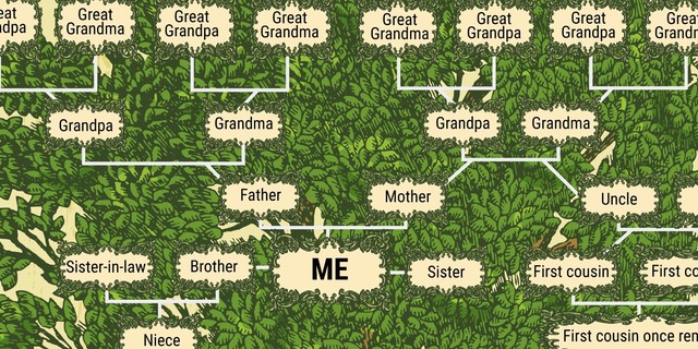Second Cousin Once Removed Here S What Those Complicated Terms On Your Family Tree Mean Business Insider Africa