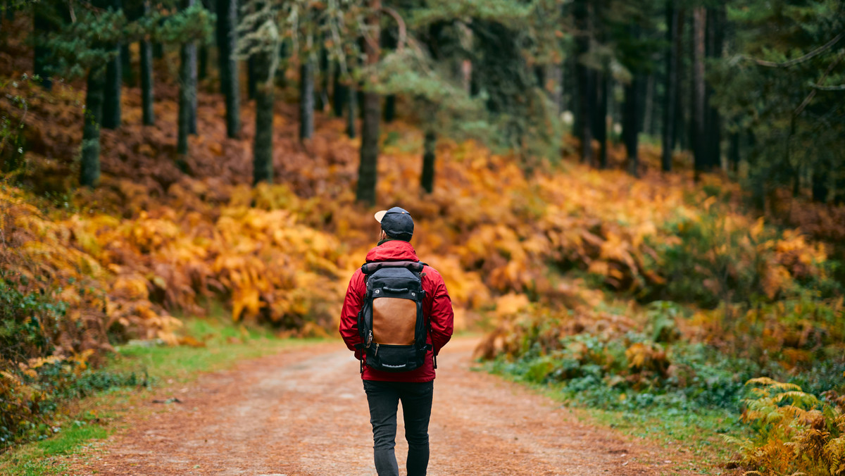 Plecaki turystyczne i trekkingowe w niskich cenach