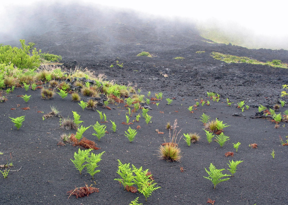 USA - Hawaje - park narodowy Haleakala