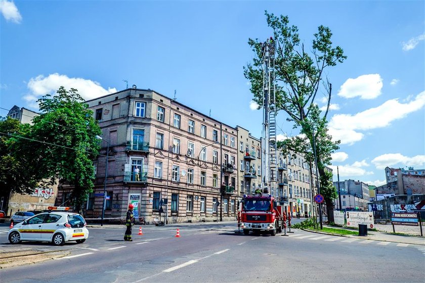 Przechylone drzewo zablokowało skrzyżowanie ulicy Zielonej i Strzelców Kaniowskich