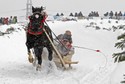 Fot. Marek Podmokły / Agencja Gazeta