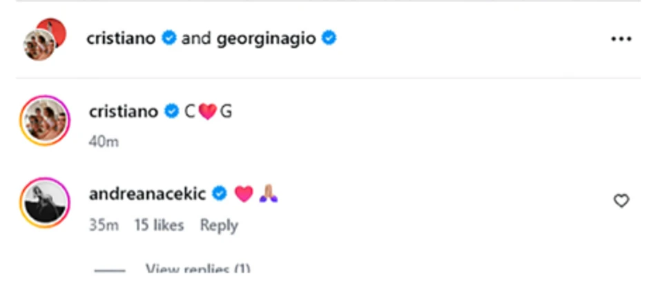 Komentar Andreane Čekić