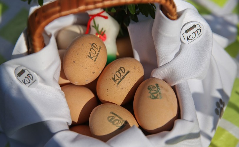 WIELKANOCNA DEMONSTRACJA KOMITETU OBRONY DEMOKRACJI PRZED KANCELARIĄ PREMIERA