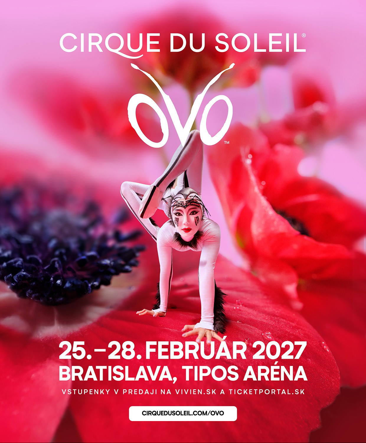 Cirque du Soleil