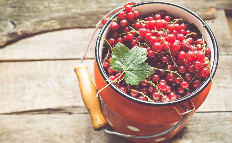 Dlaczego warto jeść porzeczki?