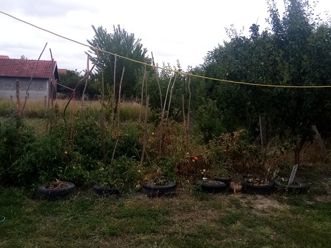 Mala bašta