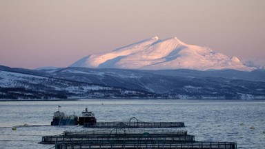 "Nie miałem wyboru, musiałem wyjechać". Superbogacze się skarżą, a świat ogląda upadek norweskiego mitu