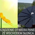 Ta "roślina" zamiast tlenu produkuje prąd