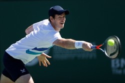 Udany rewanż Andy'ego Murraya. 700. wygrana Szkota w karierze