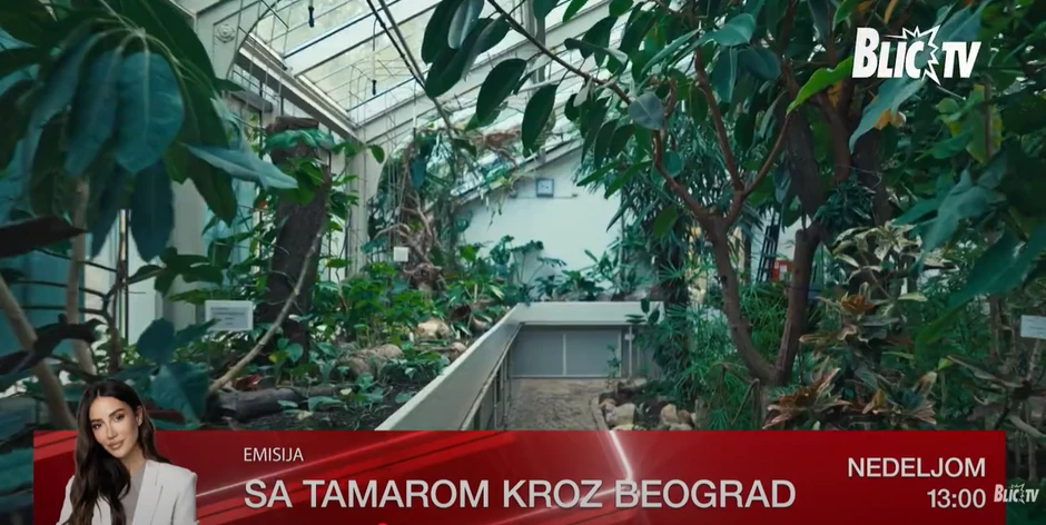 Botanička bašta "Jevremovac"