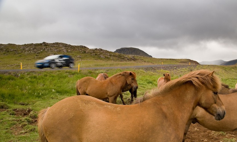 Znajdą wszystko i wszędzie