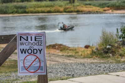 Zatruta Odra. 'Prawdopodobnie łańcuch wtórnego zakażenia rzeki został przerwany'