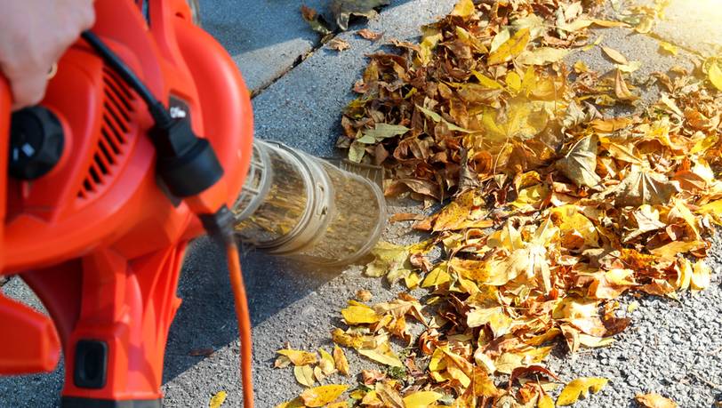 Saugen wie die Profis: Laubsauger mit Kabel im Vergleich