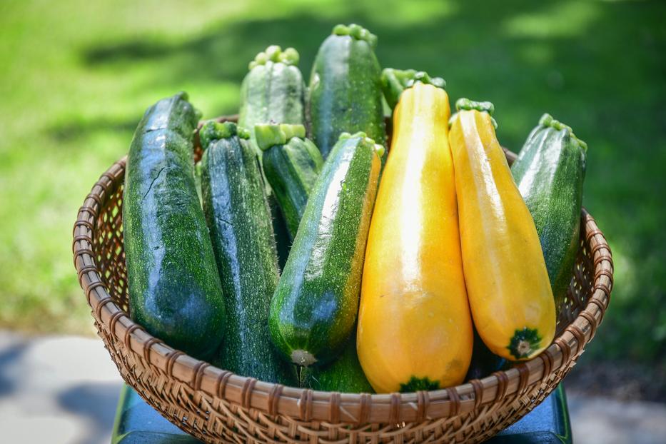 Bőséges termése lesz a cukkininak, ha így ülteted. Fotó: Getty Images