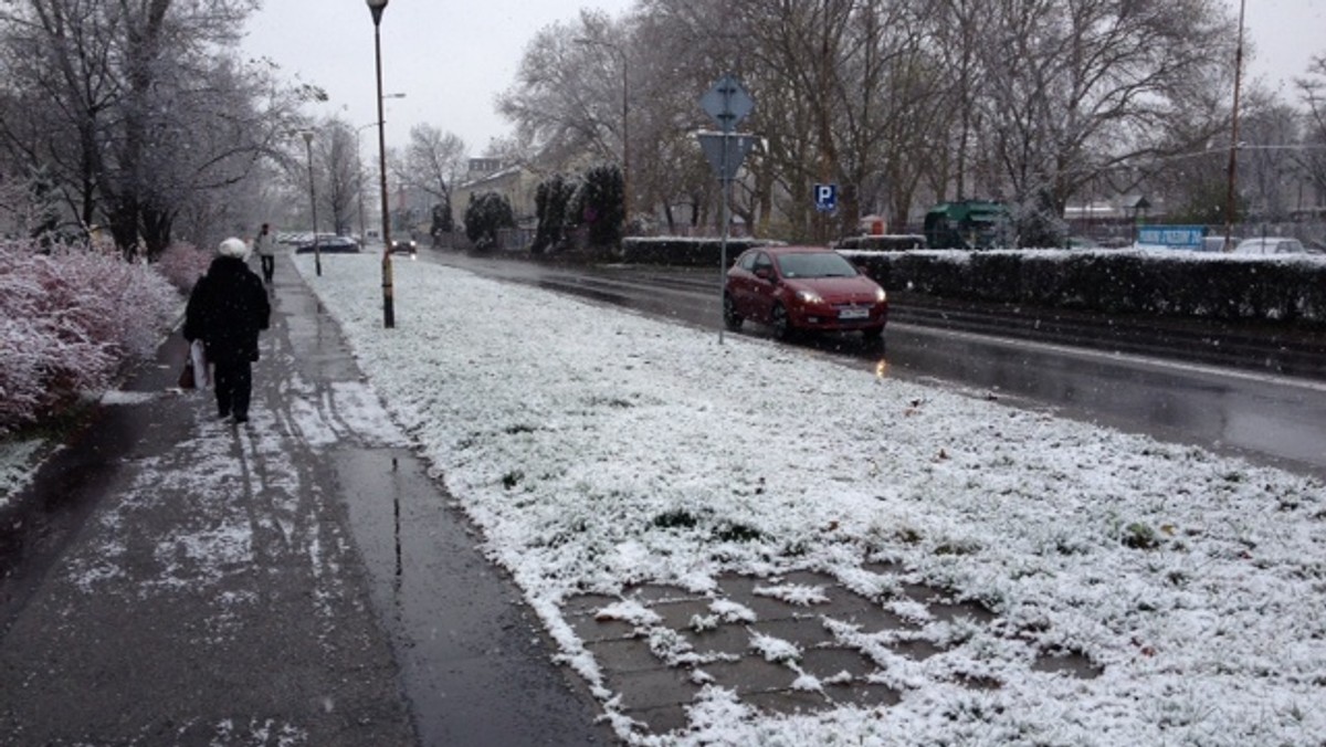 Może to jeszcze nie zima, ale na pewno przedsmak tego, co nas czeka w najbliższych tygodniach. We Wrocławiu od rana prószy śnieg i to z godziny na godzinę sypie coraz mocniej. Pługosyparki, które do tej pory były jedynie w gotowości teraz mogą wyjechać na ulice miasta na swoją pierwszą zimową akcję.