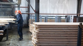 Nielegalne drewno z Rosji zalewa Europę. Do niedawna wjeżdżało głównie przez Polskę