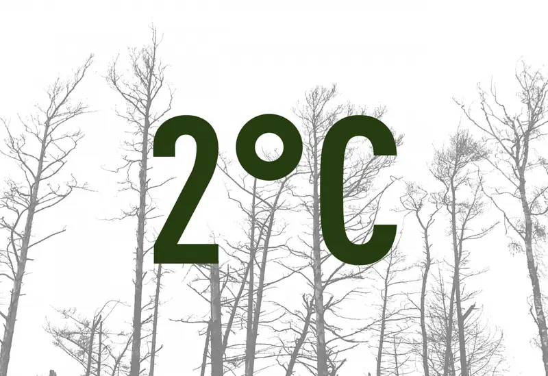 2°C