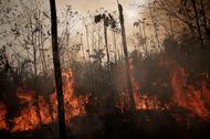 A burning tract of Amazon jungle is seen while as it is being cleared by loggers and farmers in Porto Velho