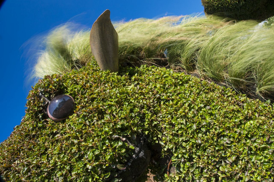 fot. Guy Boily/Montreal International Mosaicultures 2013 Show Exhibition