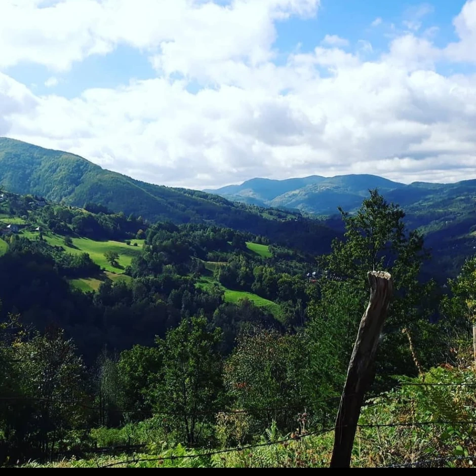  Avramovići imaju imanje od 20 hektara zemlje