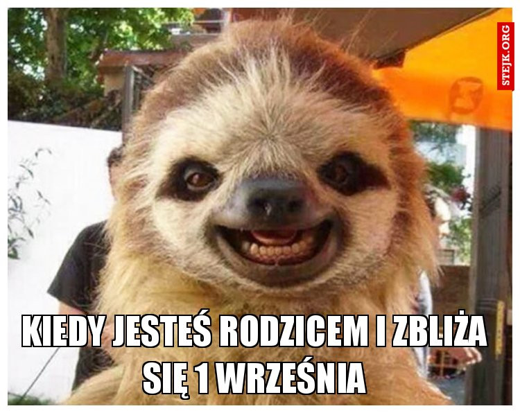 Rozpoczęcie roku szkolnego 2021/2022 oczami internautów - memy