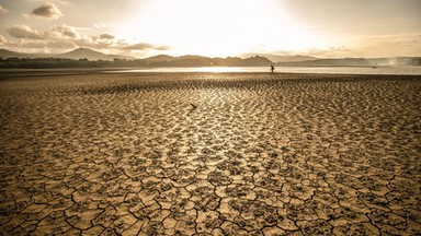 Pobity zostanie nowy rekord temperatury? Światowa organizacja bije na alarm