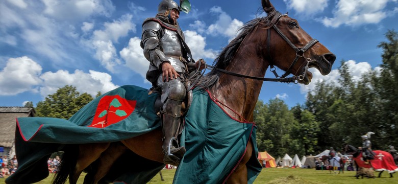 Absurd? Posłowie idą na wojnę z rycerzami i grzybiarzami
