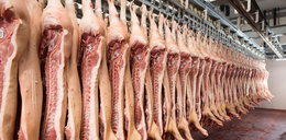Zakłady mięsne sprzedają "chore" mięso?! Inspektorzy nie mają wątpliwości