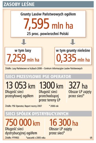 Lasy chcą 100 mln zł za słupy energetyczne