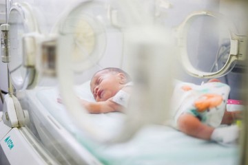 Ingyenes családi élménynapot rendeznek novemberben a koraszülöttek világnapján
