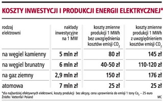 Braki prądu mogą wkrótce nadrobić elektrownie gazowe