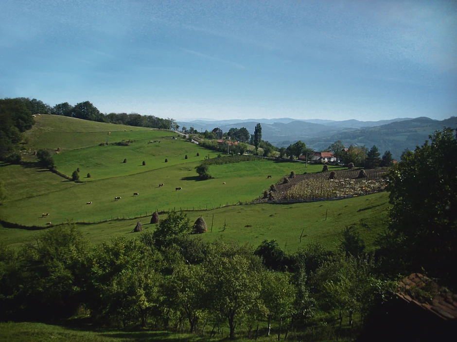 Selo Rebelj Medvednik