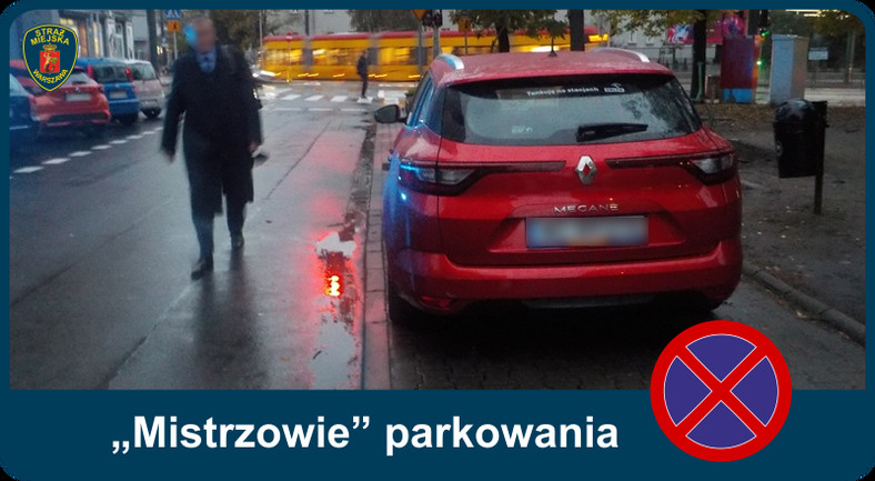„Mistrzowie” parkowania w Warszawie