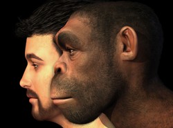 10 błędów ewolucji. Te zmiany mszczą się na naszym zdrowiu