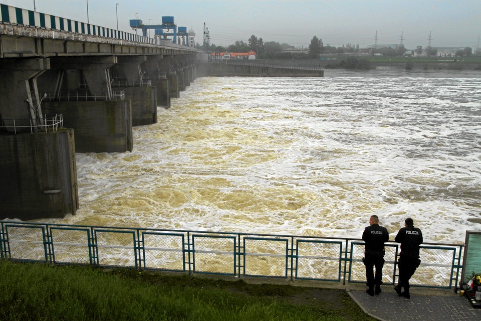 Fot. Wojciech Kardas / Agencja Gazeta