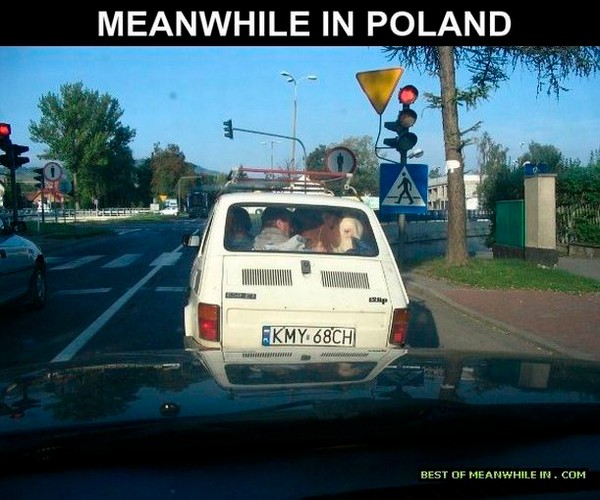 'Meanwhile in Poland'. Internet śmieje się z Polaków