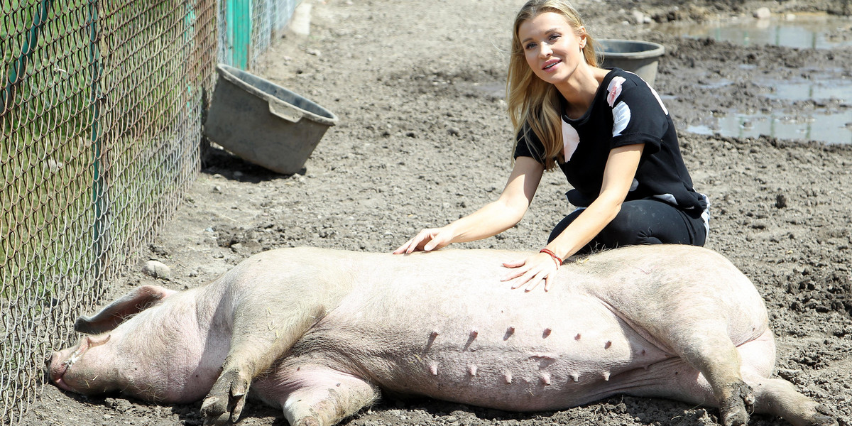 Joanna Krupa w schronisku Korabiewice