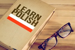 Instytut Kolbego a sprawa polska. Niemiecka Polonia bez wsparcia na naukę ojczystego języka