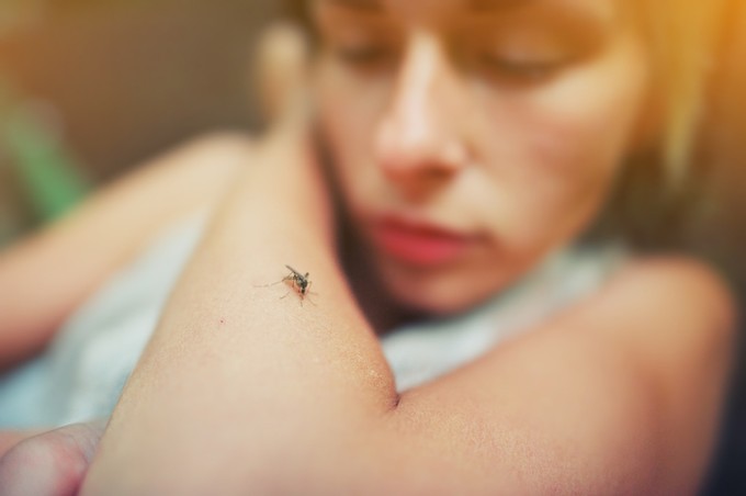 Hatásos a szúnyogcsípés utáni viszketés enyhítésére a levocetirizin allergia elleni szer?