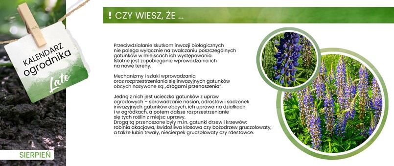 IGO czyli inwazyjne gatunki obce