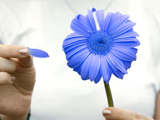 31526_shutterstock_433758